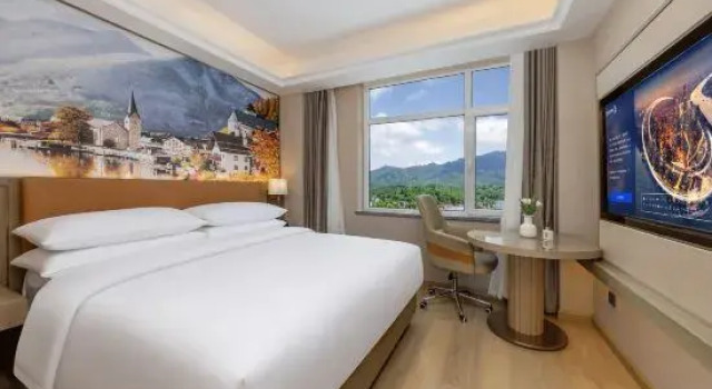Люкс Deluxe Vienna Hotel (Dingxi Railway Station Branch)