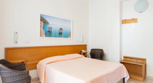 Двухместный номер Standard Hotel Mediterraneo