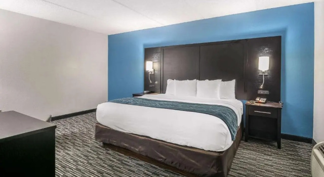 Люкс Comfort Inn Gainesville - University Area