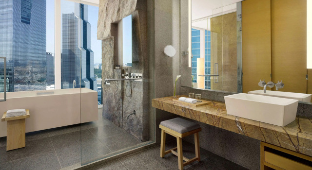 Двухместный номер Deluxe с видом на город Park Hyatt Seoul
