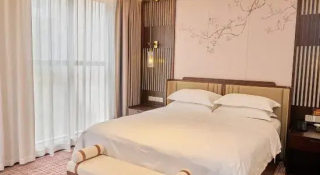 Люкс Deluxe Jinyu Rose Manor Hotel