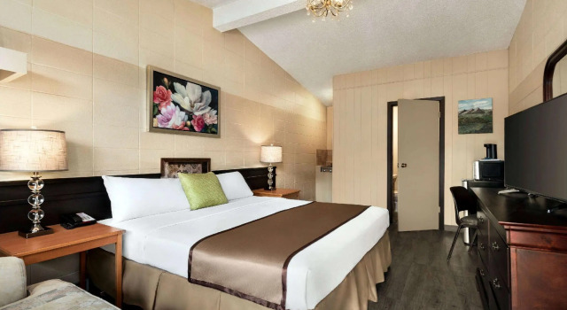 Двухместный люкс студия Thriftlodge Edmonton
