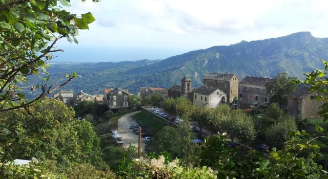Номер Standard English Club in Corsica B&B