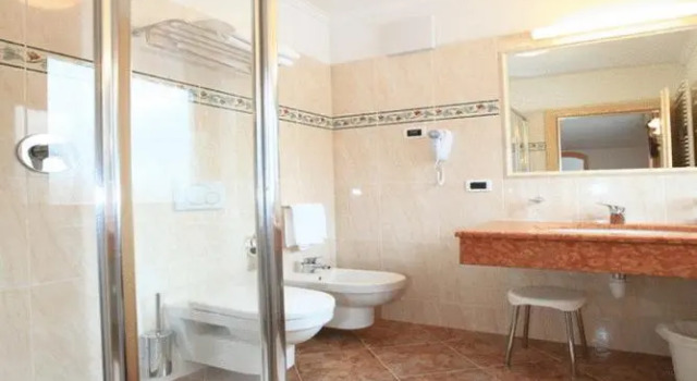 Одноместный номер Renè Dolomites Boutique Hotel