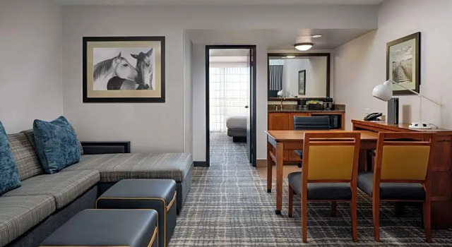 Двухместный люкс Accessible c 1 комнатой Embassy Suites by Hilton Austin Central