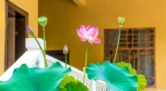 Puzhehei Jiuqi Mountain House Inn, Buchen Sie Hotel Hotels in Yunnan mit Parkplatz, Parkplätze