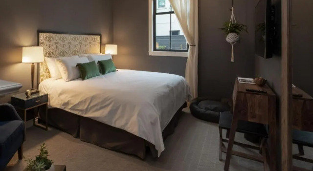 Студия Atticus Hotel