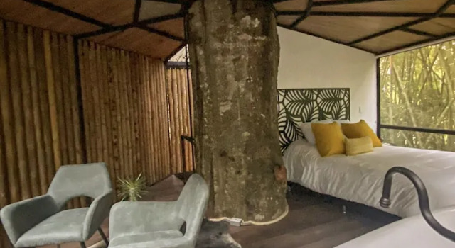 Коттедж Amanatu Ecolodge & Spa