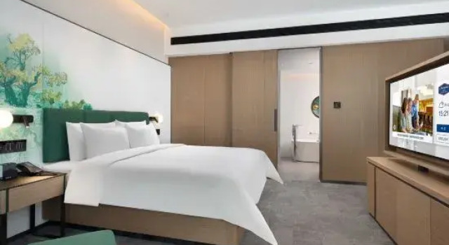 Люкс Hampton by Hilton Urumqi Innovation Plaza