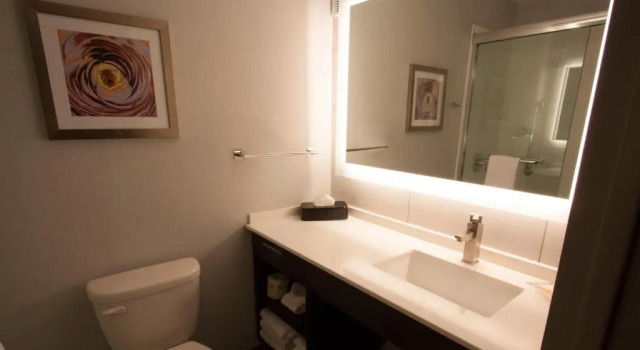 Номер Standard Holiday Inn Alexandria - Downtown by IHG