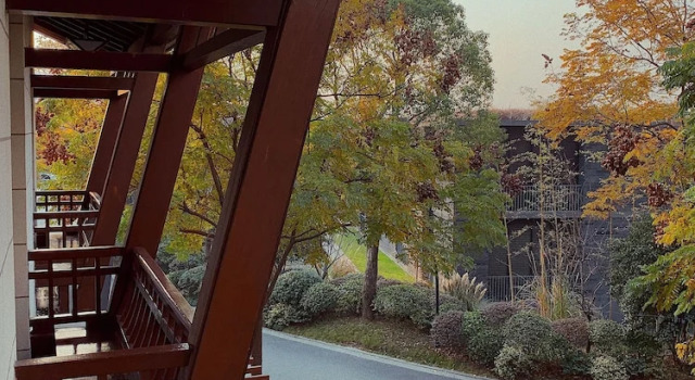 Двухместный номер Deluxe Angsana Hangzhou