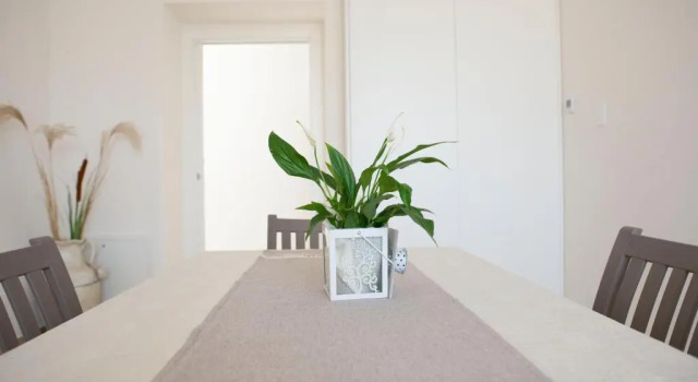 Residence Tenuta Masiedd 1, Book Hotel Cisternino Valle d'Itria