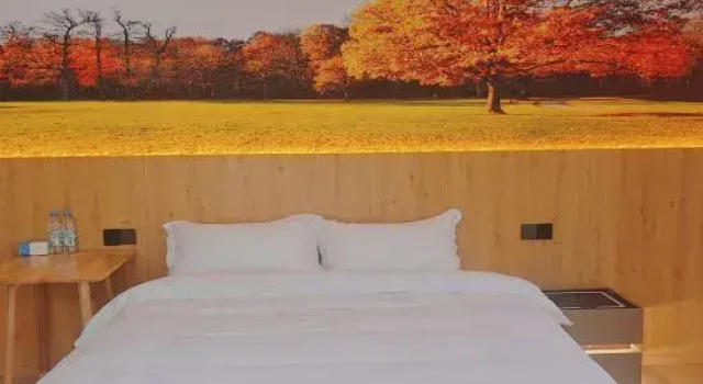 Люкс Guanshanju Hotel
