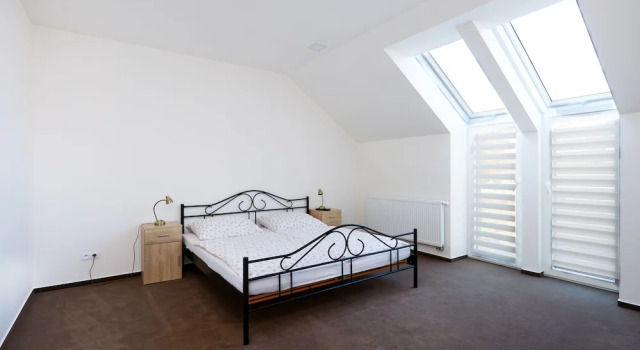 Habitación doble Estándar Bílichov