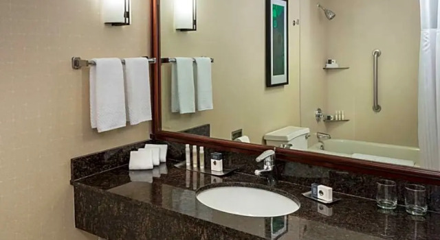 Номер Executive DoubleTree Suites by Hilton Hotel & Conference Center Chicago-Downers Grove