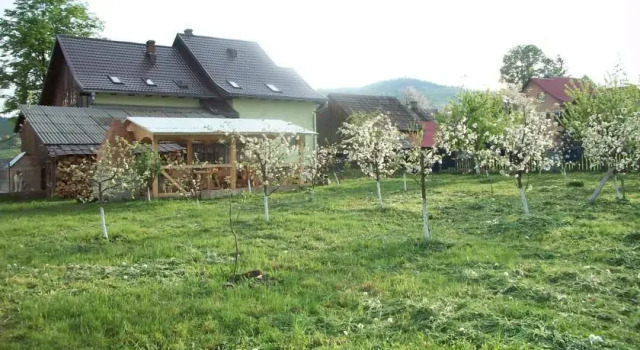 Bucovina Hills Guesthouse, Rezervovat Hotel 3hvězdičkové hotely v Suceava, 3*