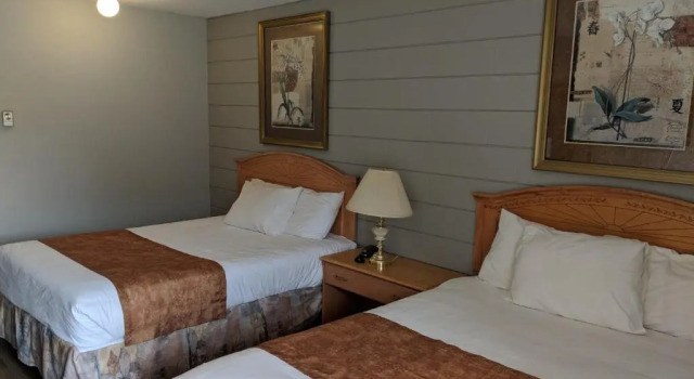 Четырёхместный номер Standard Armstrong Inn