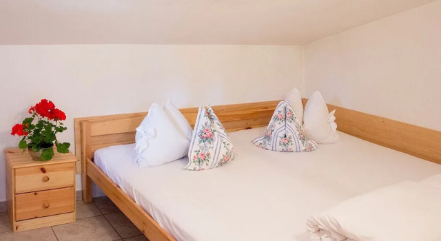 Appartements Zinner-Pale