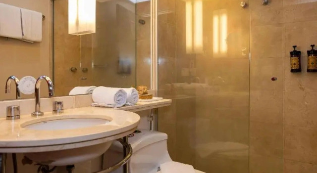 Двухместный номер Superior Mercure Sao Paulo Jardins