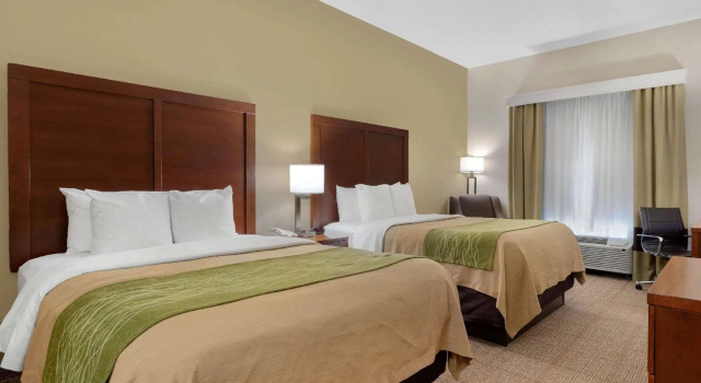 Четырёхместный номер Standard Comfort Inn & Suites Port Arthur-Port Neches