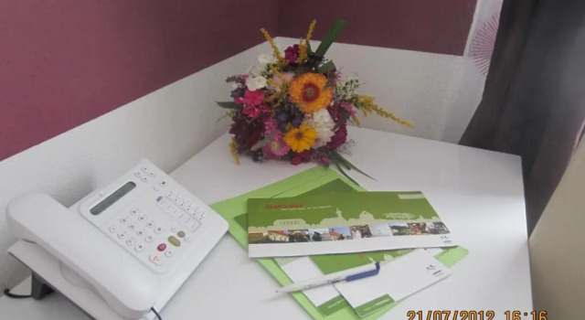 Одноместный номер Standard Hotel DAH-Inn