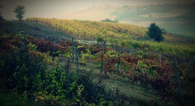 Люкс c 1 комнатой B&B Monferrato La Casa Sui Tetti