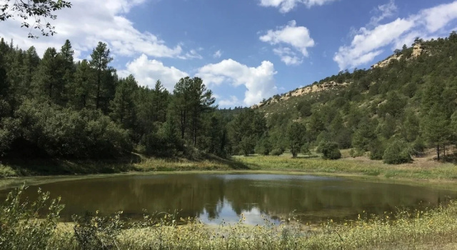 Коттедж Valentine's Northern New Mexico Mountain Ranch On Colorado Border 2 Bedroom Retreat by RedAwning