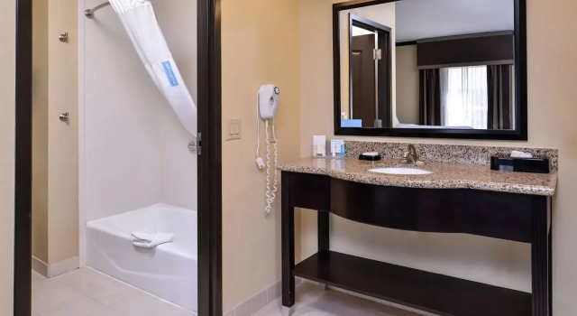 Suite Hampton Inn & Suites Big Spring