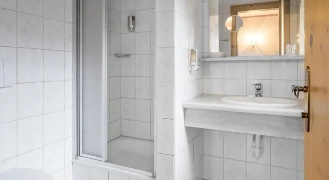 Одноместный номер Standard Hotel Burgstall