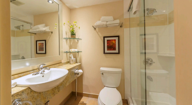Номер Executive The Water Tower Inn - BW Premier Collection