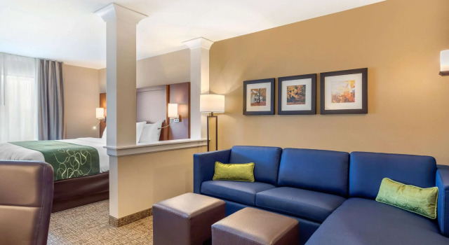 Двухместный люкс Comfort Inn & Suites Schenectady - Scotia