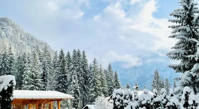 Шале Chalet in Tyrol Near Ski-area