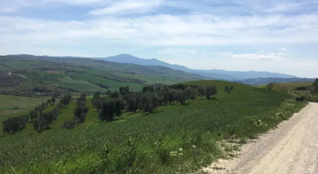 Полулюкс Deluxe Cordella In Valdorcia Truffle and Olive Oil Resort