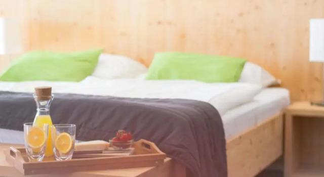Люкс Executive eco boutique hotel AMS Beagle