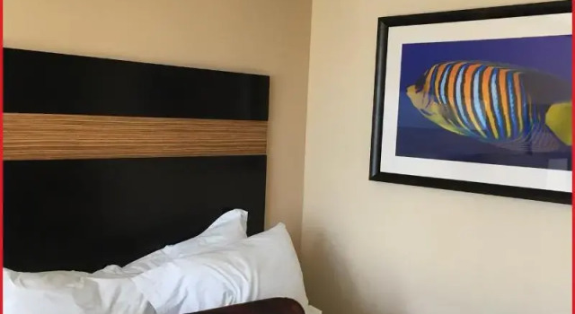 Номер Standard Grand Palms Spa & Golf Resort
