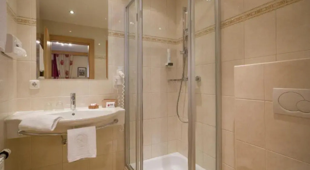 Номер Standard Hotel Feriengut Oberhabach