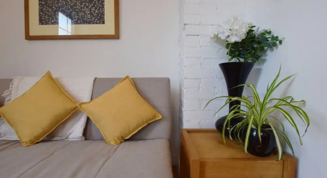 Modern Apartment In The Centre of Teignmouth