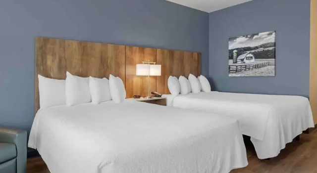 Четырёхместная студия Standard Extended Stay America Premier Suites - Harrisonburg
