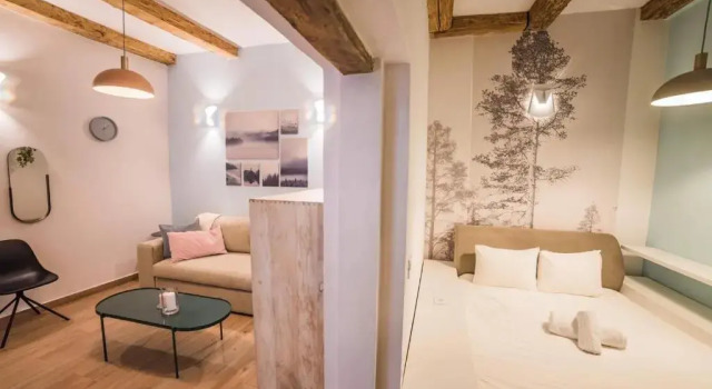 Casa Verde Brasov Flat 1
