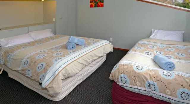 Апартаменты с 2 комнатами Leith Valley Holiday Park & Motels