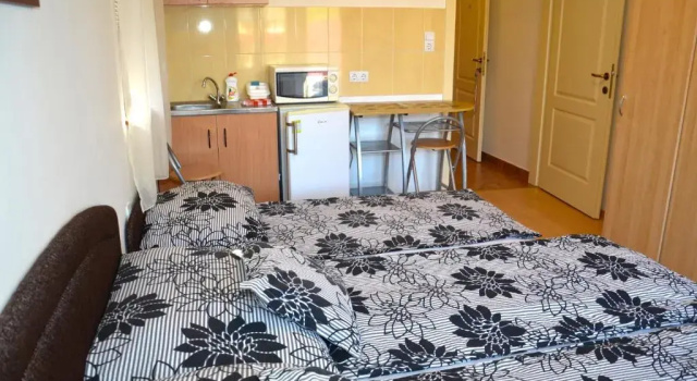 Двухместный номер Standard с балконом и с красивым видом из окна SovaApartman