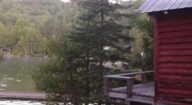 Номер Standard Lodge on the Point