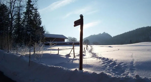 Ferienwohnungen Bach Gotthard, Varaa Hotelli Pfronten Ostallgaeu, lähellä Breitenbergbahn