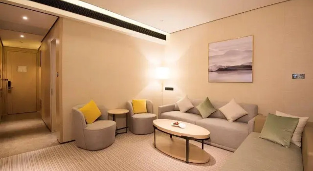 Одноместный номер Standard Virtuous World Hotel