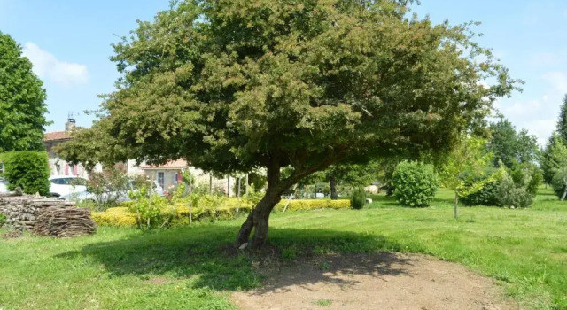 La Pastorale