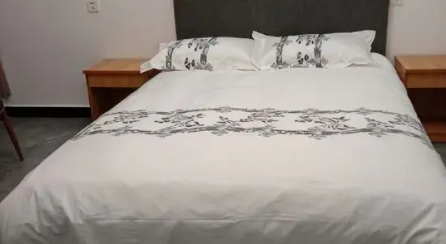 Люкс Feidong Longxi Homestay