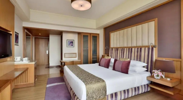 Двухместный номер Superior Radisson Blu Hotel, Indore