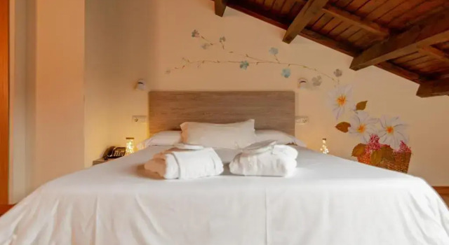 Номер Deluxe Hotel Balneario Río Pambre