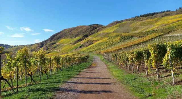 Апартаменты Weingut Henn-Schwaab