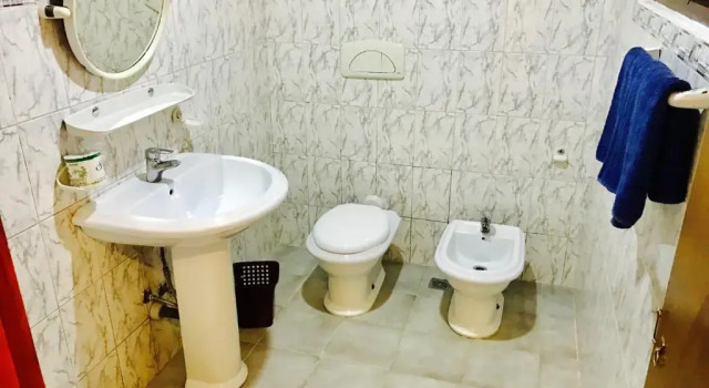 Номер Standard Single Tree Hotel